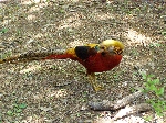 P5030035.JPG