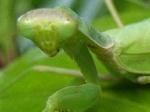 PA120343.JPG