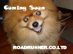CommingSoon000.jpg